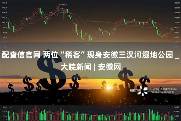 配查信官网 两位“稀客”现身安徽三汊河湿地公园 _大皖新闻 | 安徽网