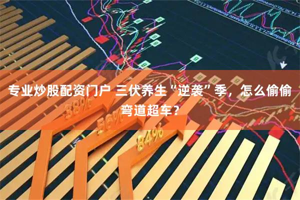 专业炒股配资门户 三伏养生“逆袭”季，怎么偷偷弯道超车？