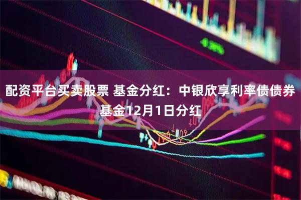 配资平台买卖股票 基金分红:中银欣享利率债债券基金12月1日分红